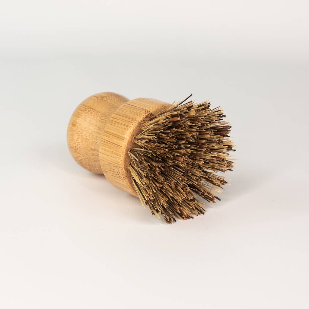 Coconut Mini Scrub Brush Bamboo Dish Scrubber